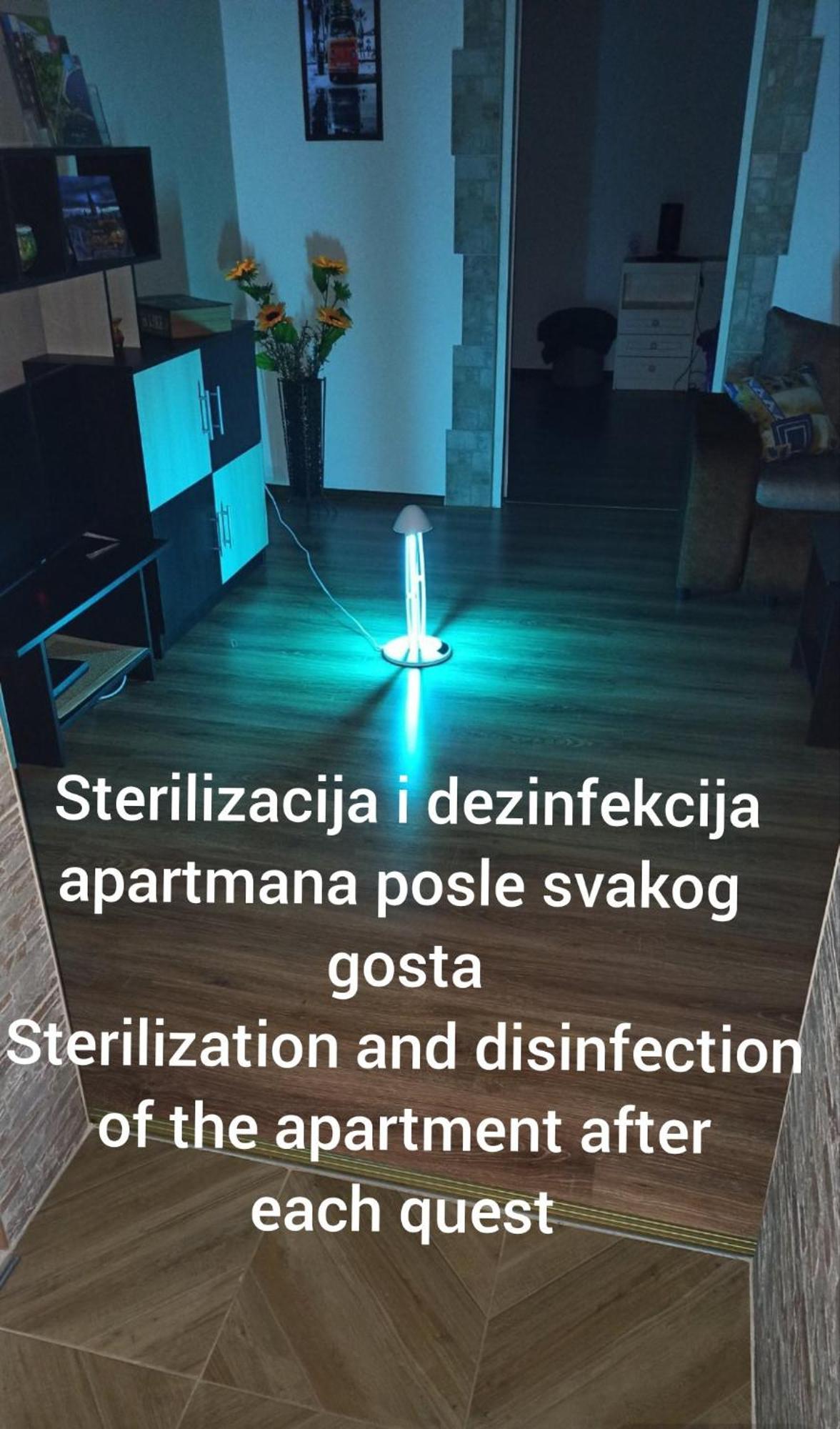Apartman Su Libero Lejlighed Subotica Eksteriør billede